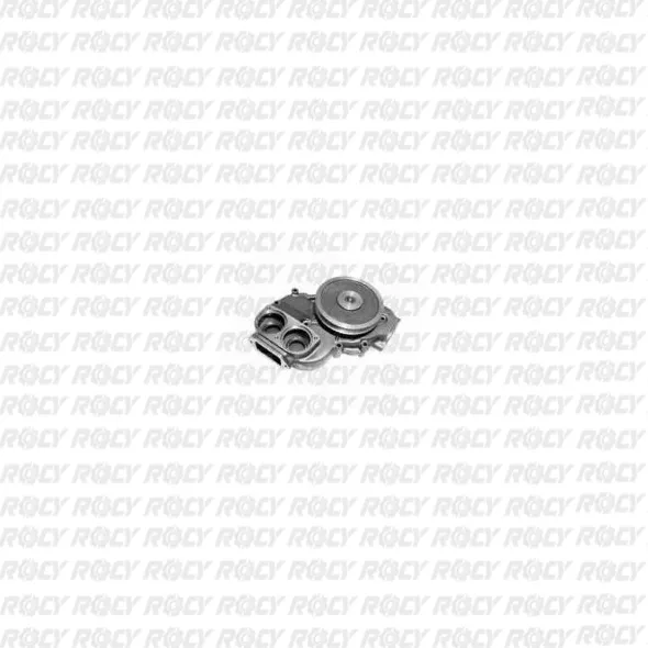 R 01 01-1465